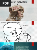 Neuro-Network: A Presentation About The Nervous System