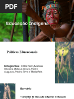 Educação Indígena