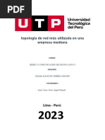 Topología de Red Más Utilizada en Una Empresa Mediana