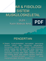 Anatomi Sistem Muskuloskeletal