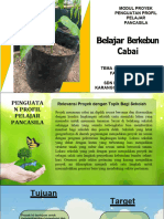 Modul Projek Kearifan Lokal - Belajar Berkebun Cabai - Fase B (By Syaiful Arif)