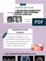 Síndrome de Encefalomiopatía Mitocondrial Con Acidosis Láctica (MELAS) - Trabajo Grupal-Biología Celular Práctica PDF