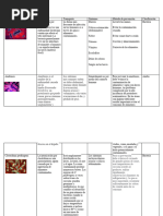 Enfermedades Por Bacterias