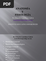 Anatomia III