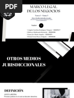 Otros Medios Jurisdiccionales