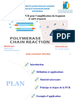 Technique de PCR Pour L'amplification Du Fragment d'ADN D'intérêt