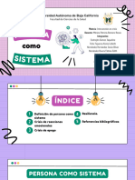 Presentacion Persona Como Sistema