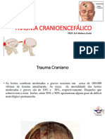 Aula 2 - Trauma Cranioencefálico 2023