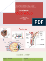 Seminario OJO ROJO COMPLETO