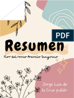 Resume N