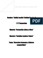 Resumen Derechos Humanos Sahily