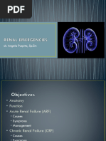 Materi EM Renal Emergencies