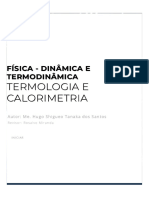 Fisica Termodinamica