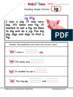 IG Reading Comprehension Worksheet 2