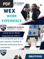 Presentación WEX