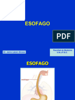 Esofago Estomago Intestino Delgado 2022