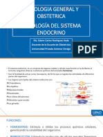 Histologia Sistema Endocrino