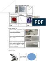 Examen Directo KOH y Azul de Lactofenol