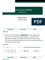 S5V1 Determinantes