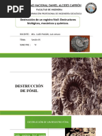 Clase 5 Paleontologia