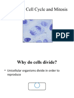 Topic 15 - Cell Cycle and Mitosis