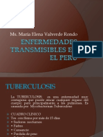 Enfermedades Transmisibles en El Peru