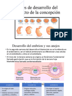 Fases de Desarrollo Del Producto de La Concepción