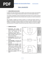 Tema 2. Baloncesto