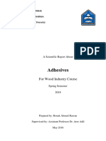 Final Report Adhesives