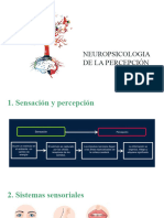 POWER Neuropsicologia de La Percepcion