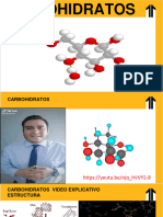 Carbohidratos y Lípidos