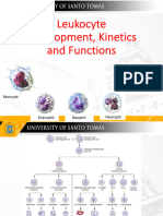 Leukocyte Development Kinetics and Functions