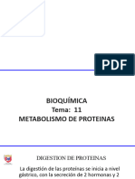 Tema 11 Bioquímica, FB