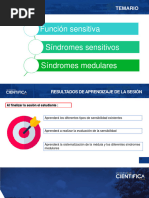 Clase Iia - Neurologia 2023-I Junio