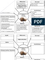 Carte Mentale Développement Animaux Escargot