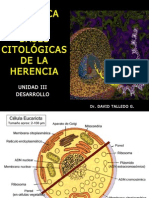 UNIDAD III - Bases Citológicas