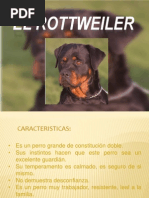 El Rottweiler