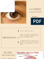 Anatomia Vision Trabajo Final