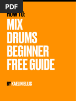 Kaelin Ellis Free Guide For Drum Mixing