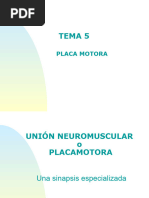 Tema 5 Placa Motora