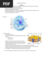 Microbiologia PDF