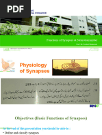 Functions of Synapses Neurotransmitter (I II)