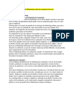 Unidad 5 Relaciones Entre Los Usuarios de La Red