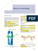 3 Conceptos y Terminologia