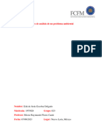 Ensayo de Una Problematica Ambiental