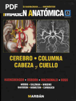 Imagen Anatomica 3 - Columna Vertebral