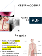 TR Oesophagus