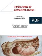 DR Ibtihale Obstetrique 2023