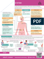 Nursing CS Endocrine System