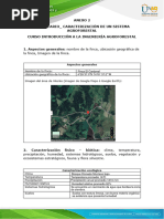 Anexo 2. Formulario para La Caracterización de Un SAF